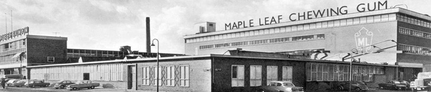 BomBibomgum Bubble Gum Factory